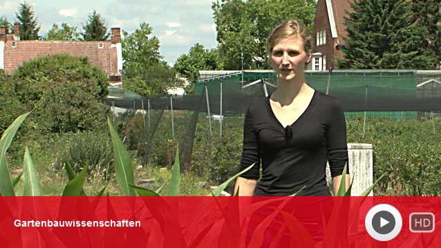 video_agentur_fuer_arbeit